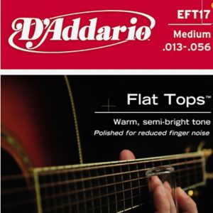 D'Addario EFT17 Flat Tops PB Medium Acoustic Guitar