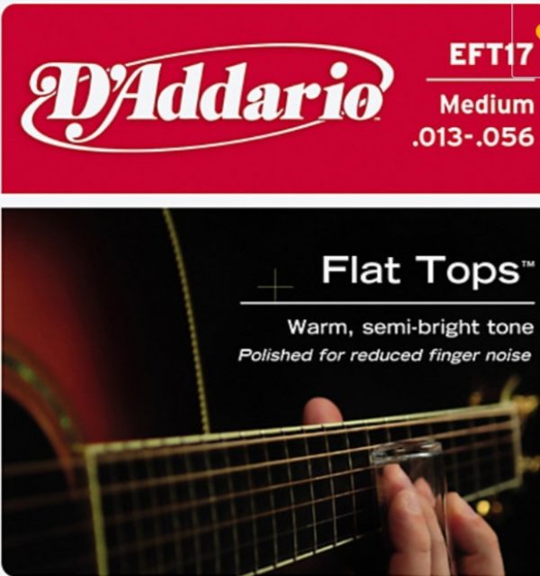 D'Addario EFT17 Flat Tops PB Medium Acoustic Guitar