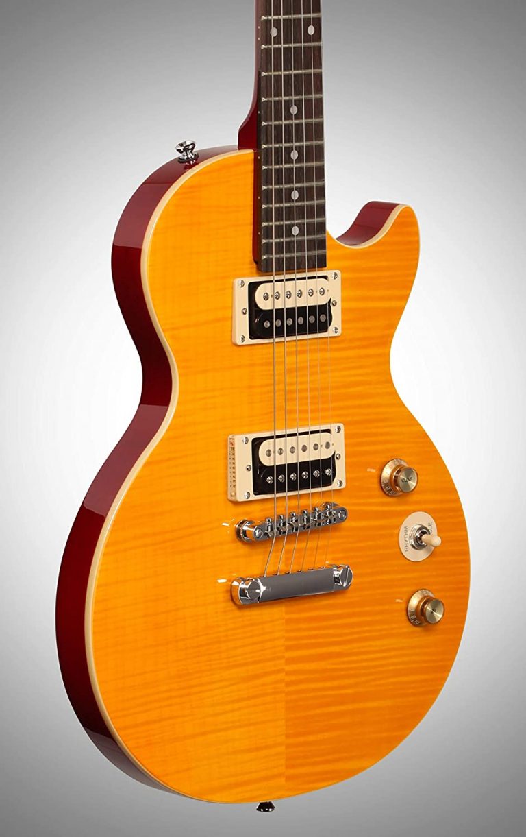 Slash”AFD” Signature Les Paul Special-II - Musical Bag