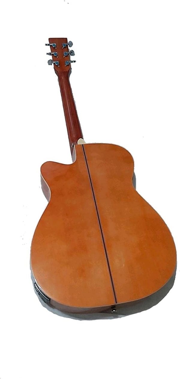 FREEMAN Cutaway - Image 2