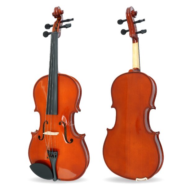 FITNESS VIOLA