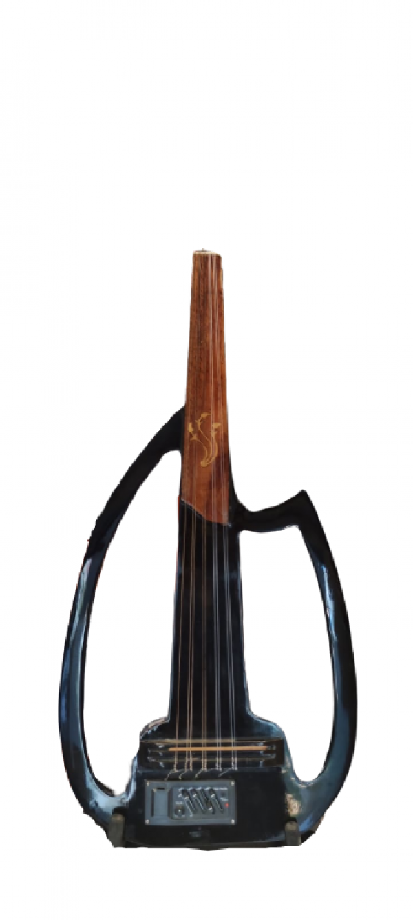 Electric oud