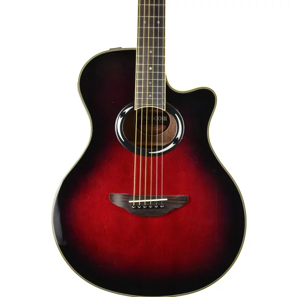 Yamaha APX 500