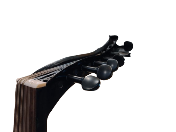 Electric oud - Image 2