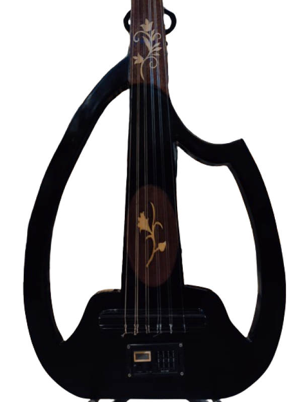 Electric oud