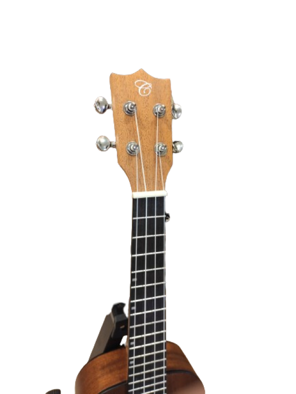 Ukulele Chard -24 - Image 2