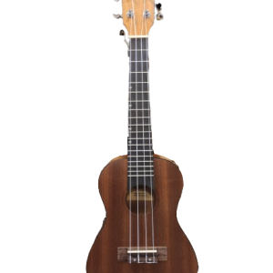 Ukulele Chard -24