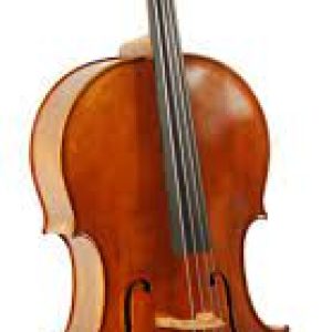 Shelter Cello