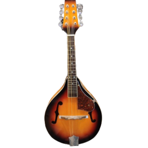 mandolin