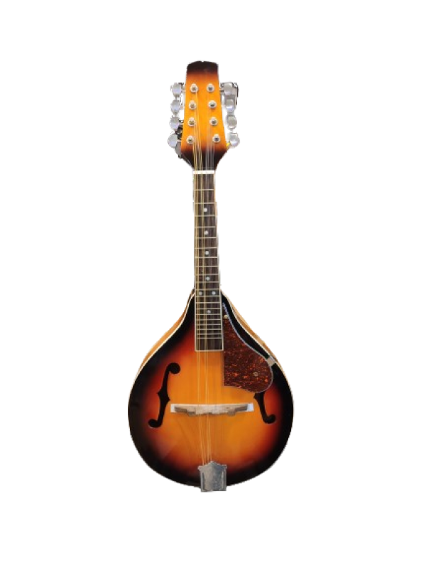 mandolin