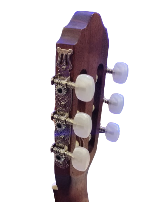 CORT AC100_OP - Image 2
