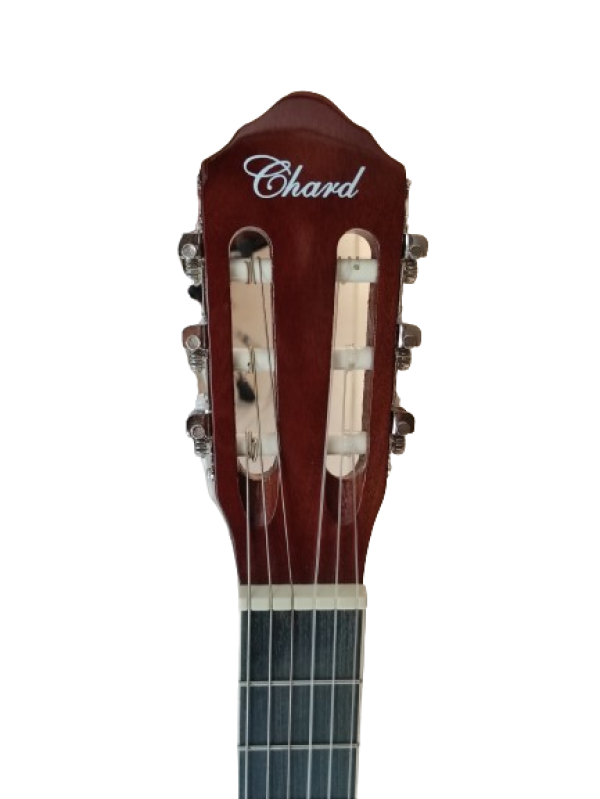 chard_Ec 3920C Cutaway _ Natural - Image 3