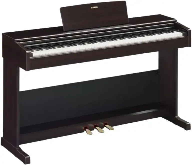 Yamaha Digital Piano YDP-105R
