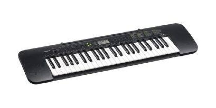 CASIO CTK-240 - Image 2