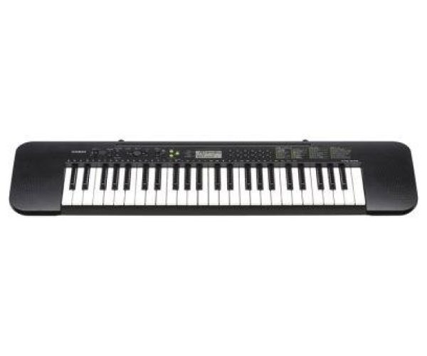 CASIO CTK-240 - Image 3
