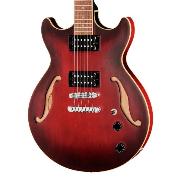 Ibanez AS53 - Image 3